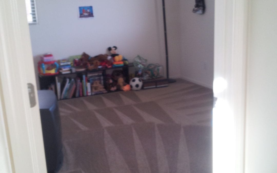 Carpet cleaning Goodyear