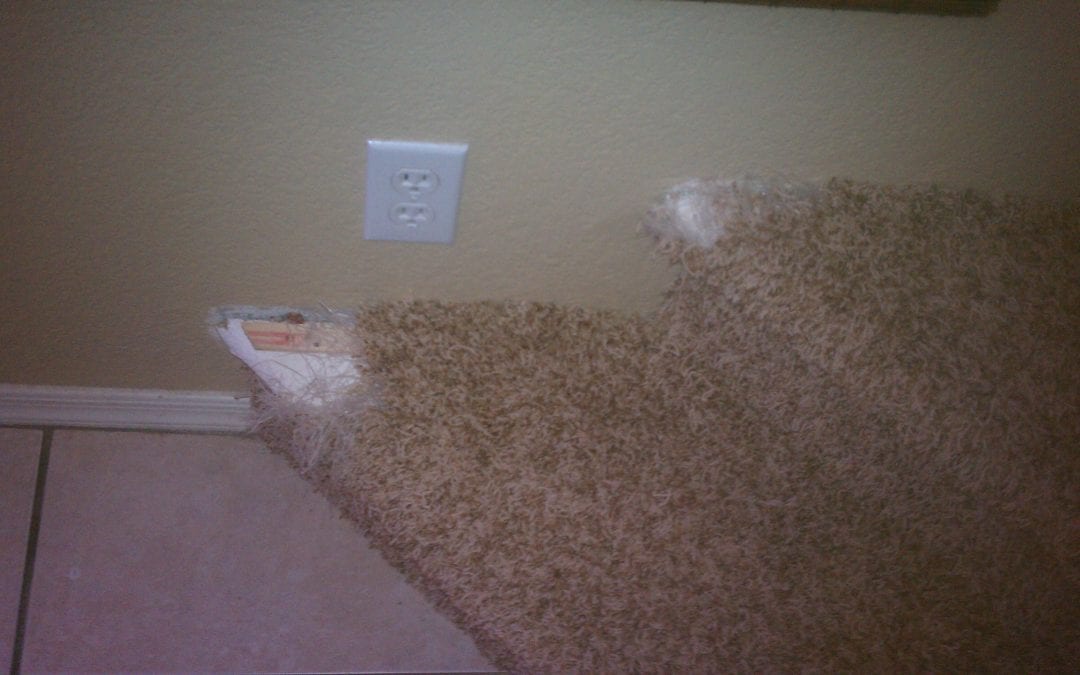 Goodyear stair carpet pet damage repair