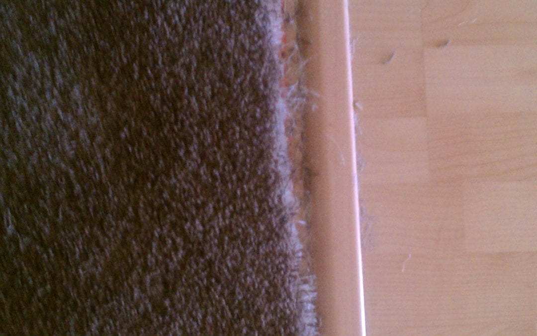 Surprise Carpet to Wood Repair