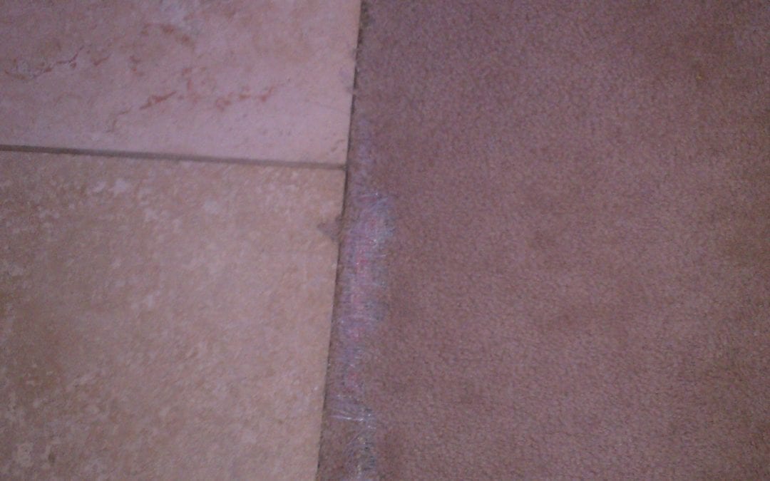Pet Damage Repair Carpet to Tile Repair in Phoenix