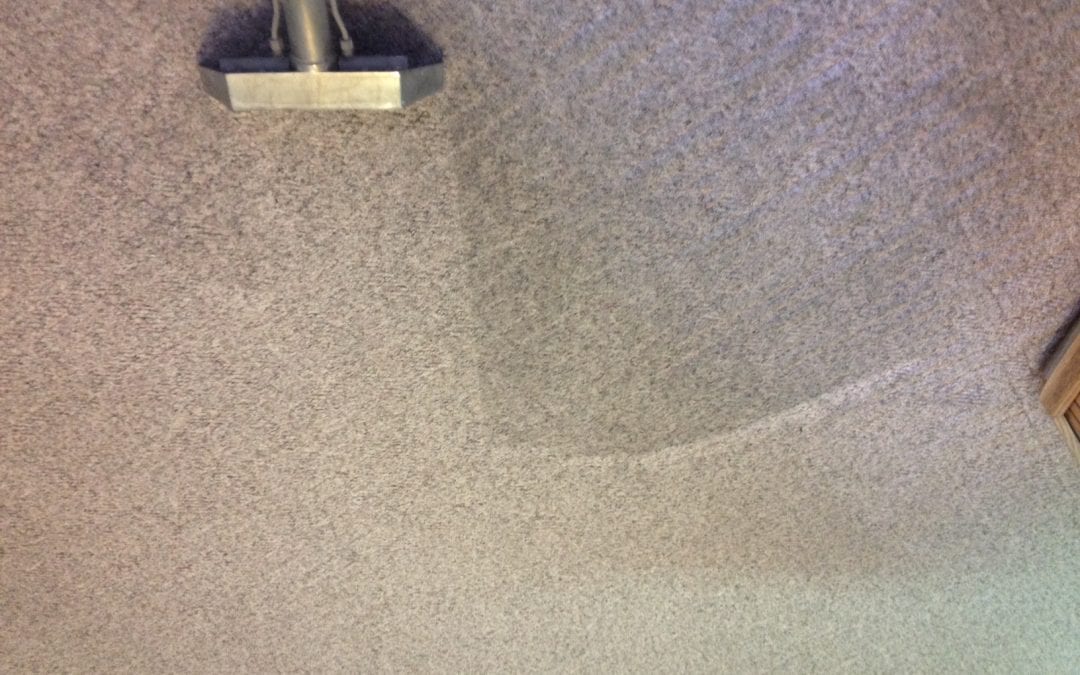Patterned Carpet Cleaning in Surprise