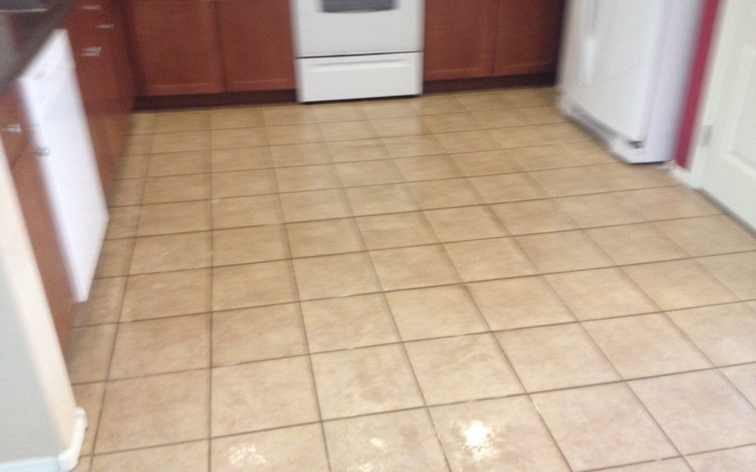 Tile and Grout Cleaning Too, Glendale AZ