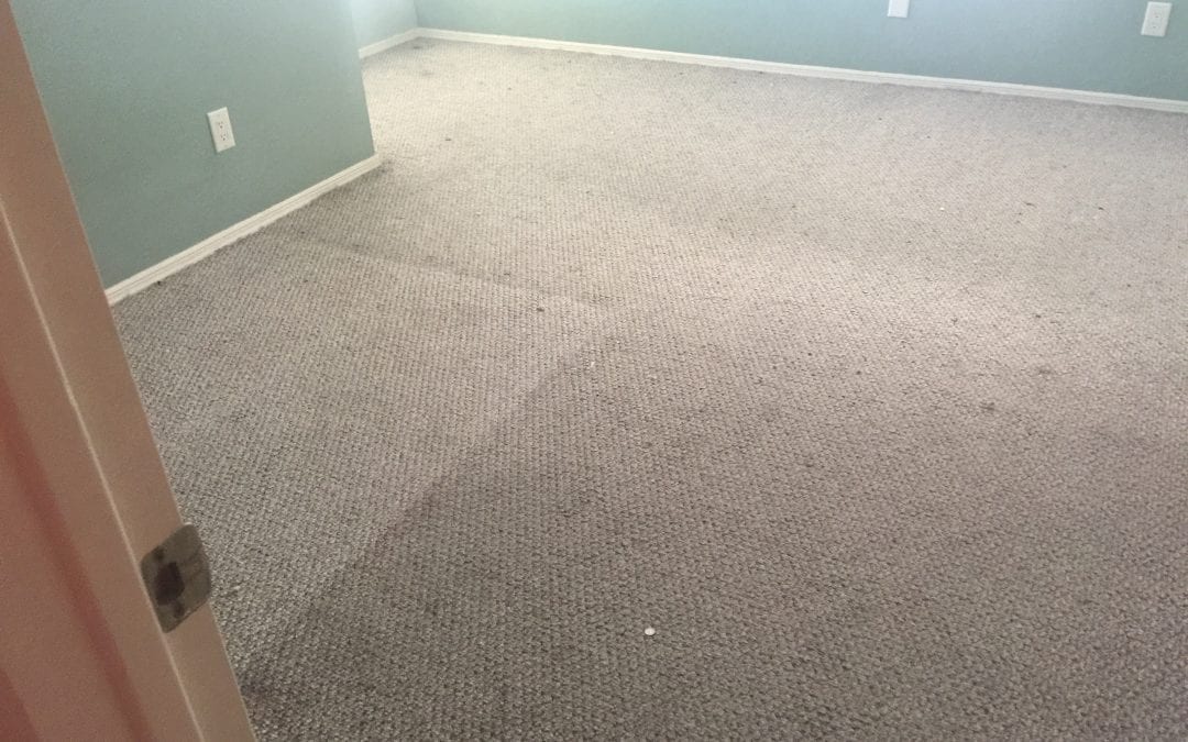Arizona Carpet Repair & Cleaning