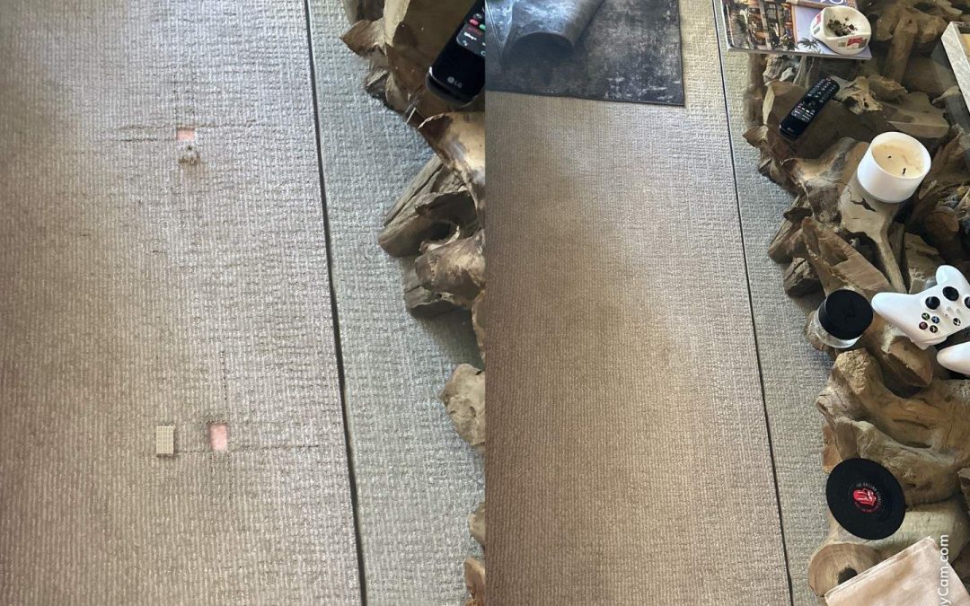 Scottsdale, AZ Carpet Repair Specialists